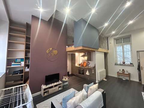 Location appartement 1 pièce Saint-Étienne 42