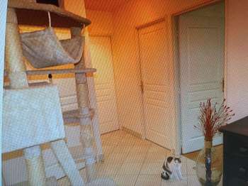 Location appartement 3 pièces Location appartement 3 pièces