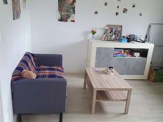 Location appartement 1 pièce Location appartement 1 pièce