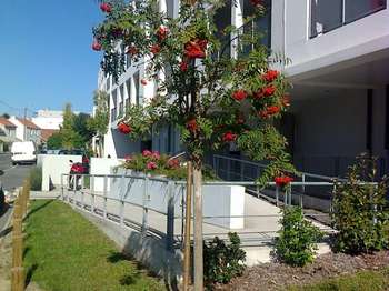 Location Appartement 2 piècesSaint-Herblain Nord-Sillon-Thébaudières