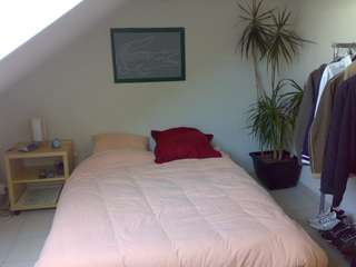 Location Chambre 1 pièce