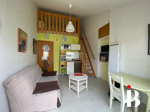 Location appartement 1 pièce Saint-Sébastien-sur-Loire 44