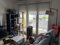 Location appartement 3 pièces Location appartement 3 pièces