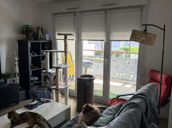 Location appartement 3 pièces Location appartement 3 pièces