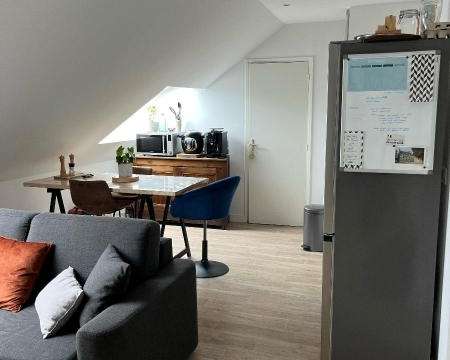 Location appartement 1 pièce Sainte-Gemmes-sur-Loire 49