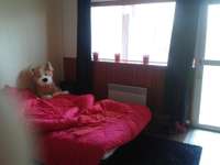 Location appartement T1 Savigny-le-Temple - 77