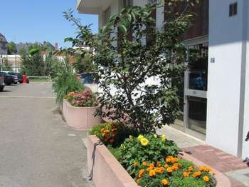 Location appartement 1 pièce Strasbourg 67