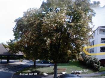 Location Appartement 2 piècesSucy-en-Brie
