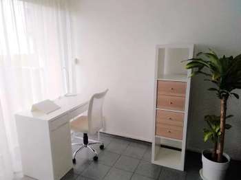 Location Studio 1 pièce Location Studio 1 pièce