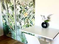 Location Studio 1 pièce Location Studio 1 pièce