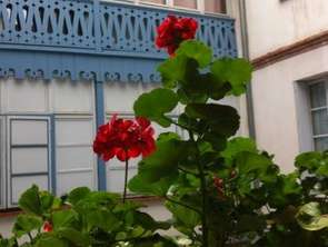 Location Appartement T1Toulouse