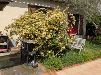 Location Appartement T1Toulouse