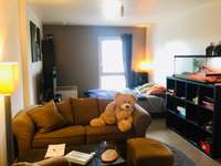 Location appartement 1 pièce
