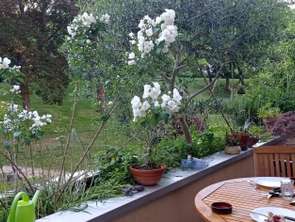 Location Appartement T1Verrières-le-Buisson