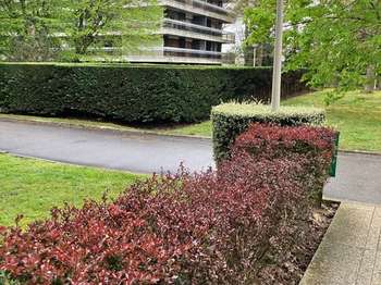Location Appartement 3 piècesVersailles