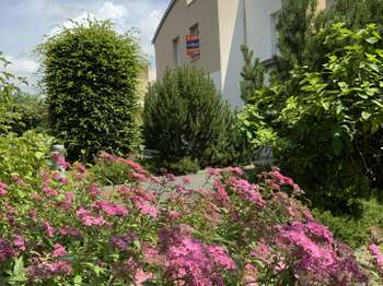 Location Appartement T1Vire