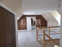 Bureaux et commerces 9 pièces
