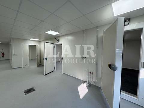 Bureaux et commerces 15 pièces Argentan 61