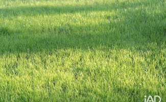 Photo Bureaux et commerces Beaucouzé