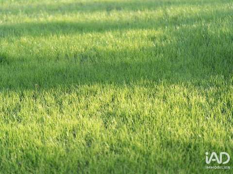 Bureaux et commerces Beaucouzé 49