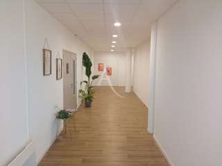 Bureaux et commerces 7 pièces