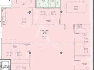 Bureaux et commerces 7 pièces