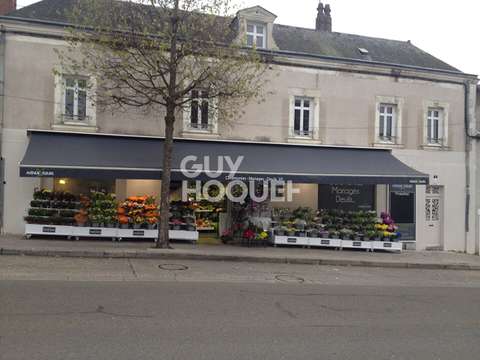 Bureaux et commerces Château-Gontier 53