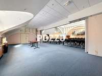 Bureaux et commerces 9 pièces