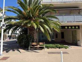 Photo Bureaux et commerces La Baule-Escoublac La Baule Les Pins