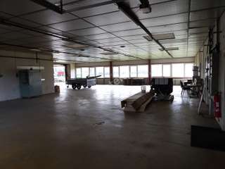 Bureaux et commerces 8 pièces