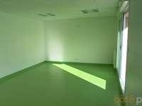 Bureaux et commerces 7 pièces