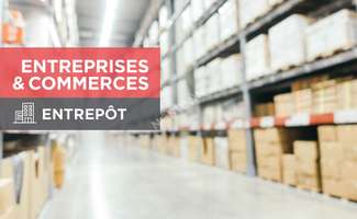 Photo Bureaux et commerces Le Lion-d'Angers