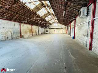 Bureaux et commerces 7 pièces