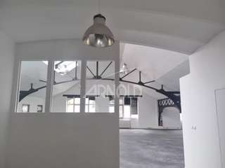 Bureaux et commerces 7 pièces