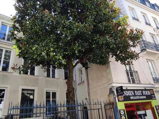 Bureaux et commerces