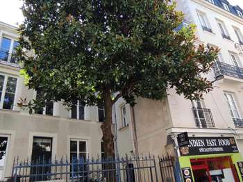 Bureaux et commerces