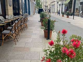 Bureaux et commerces 7 pièces