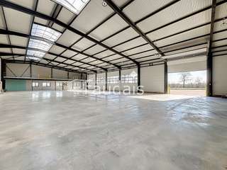 Bureaux et commerces