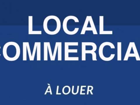 Bureaux et commerces 3 pièces Pleyben 29