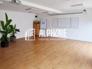 Bureaux et commerces 1 pièce