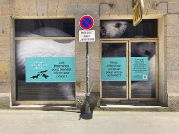 Bureaux et commerces Rennes Centre Ville 35