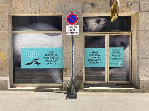 Bureaux et commerces Rennes Centre Ville 35