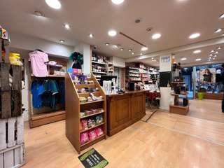 Bureaux et commerces 1 pièce