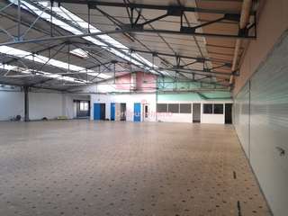 Bureaux et commerces 5 pièces