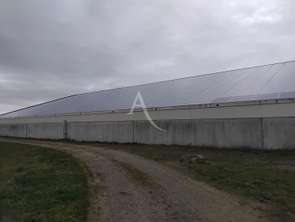 Location Bureaux et commerces 1440 m&sup2;Terranjou