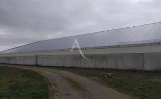 Photo Bureaux et commerces Terranjou