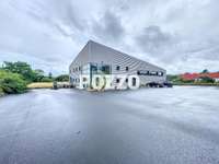Bureaux et commerces 9 pièces