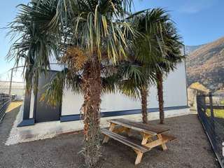 Bureaux et commerces