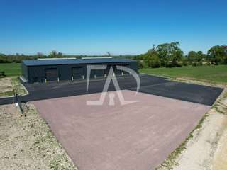 Bureaux et commerces 7 pièces