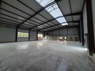 Bureaux et commerces 7 pièces